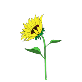 新興教會附屬中文學校   2020 全校繪畫比賽2