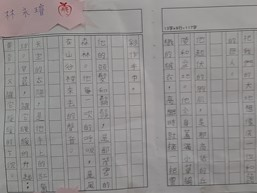 國風僑聯中文學校  2020 第一季 硬筆字比賽活動圖片