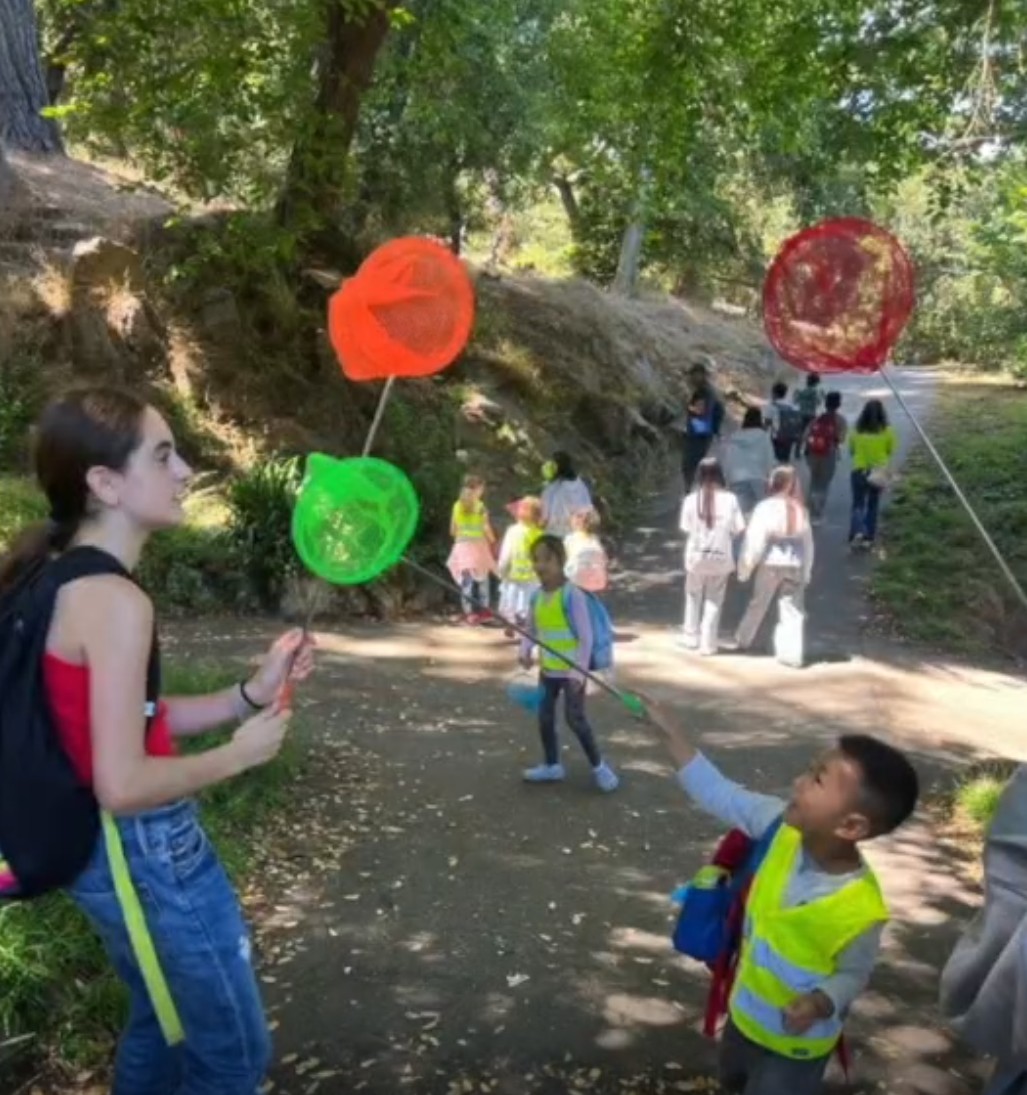 孩子們揮舞著彩色捕蟲網，專注尋找昆蟲與小生物。