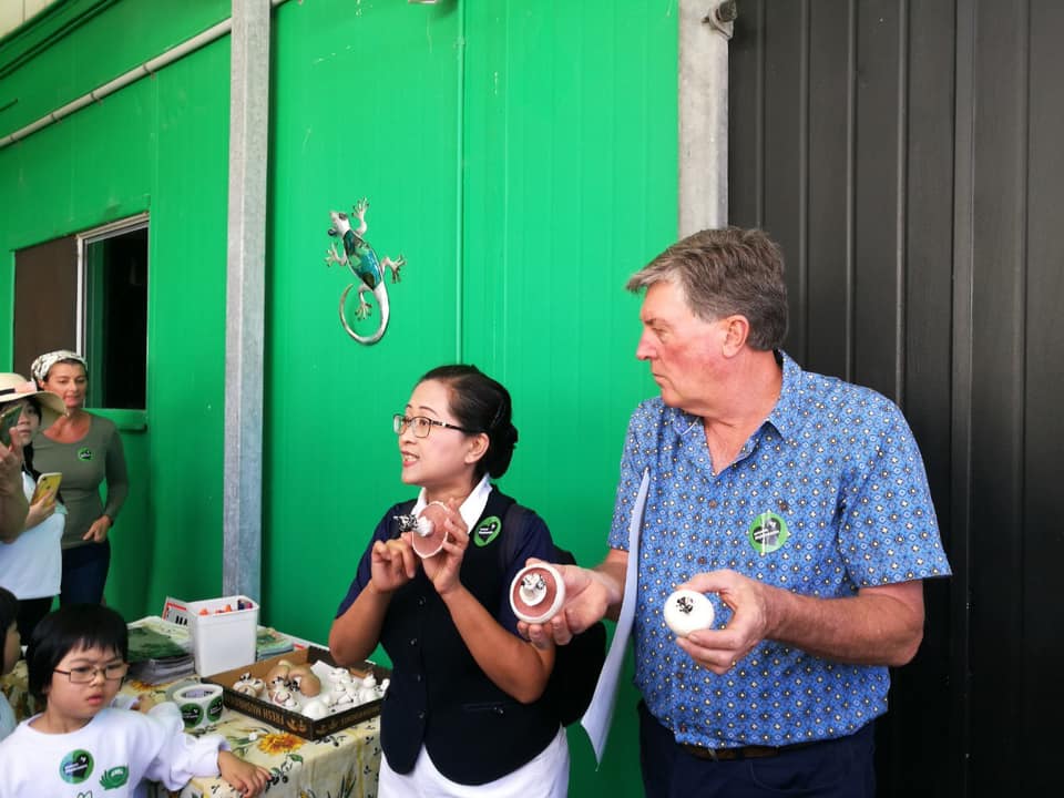 蘑菇農場生態教學