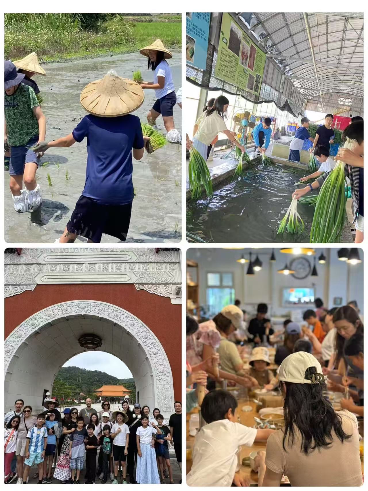 下田插秧啦（左上）洗三星蔥準備做蔥油餅（右上）欣賞忠烈祠的衛兵交接（左下）大家一起努力做金棗蜜餞（右下）