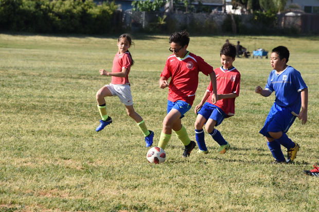 北加州中文學校聯合會 年度校際球類比賽2