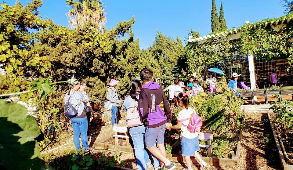 風和日麗的好天氣，親子踏青的好時機。