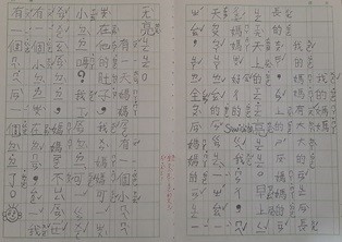 阿根廷國風僑聯中文學校   2020 第4季漢字文化節系列活動：母親節作文比賽1