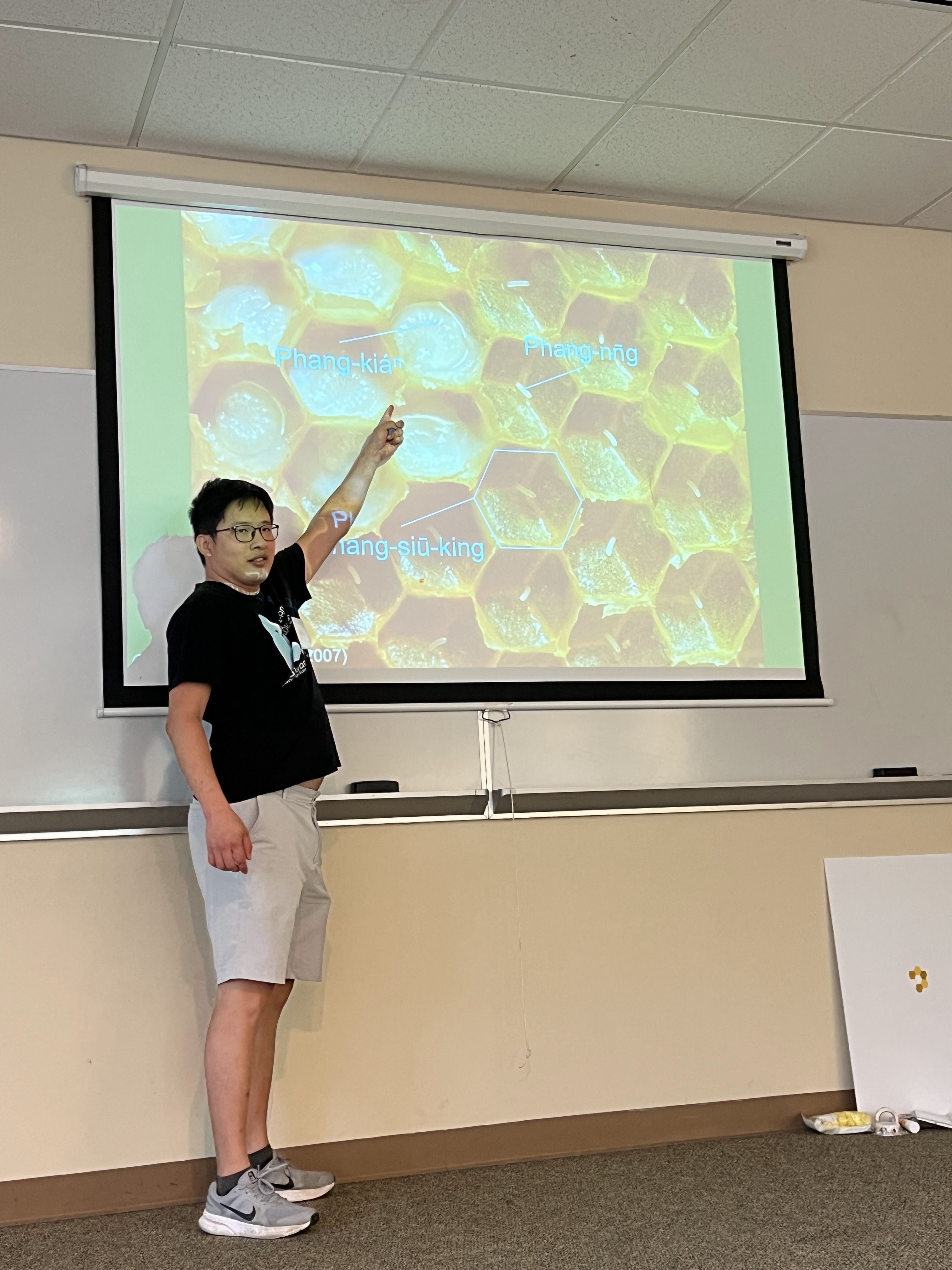 老師紹介蜂ê生命週期