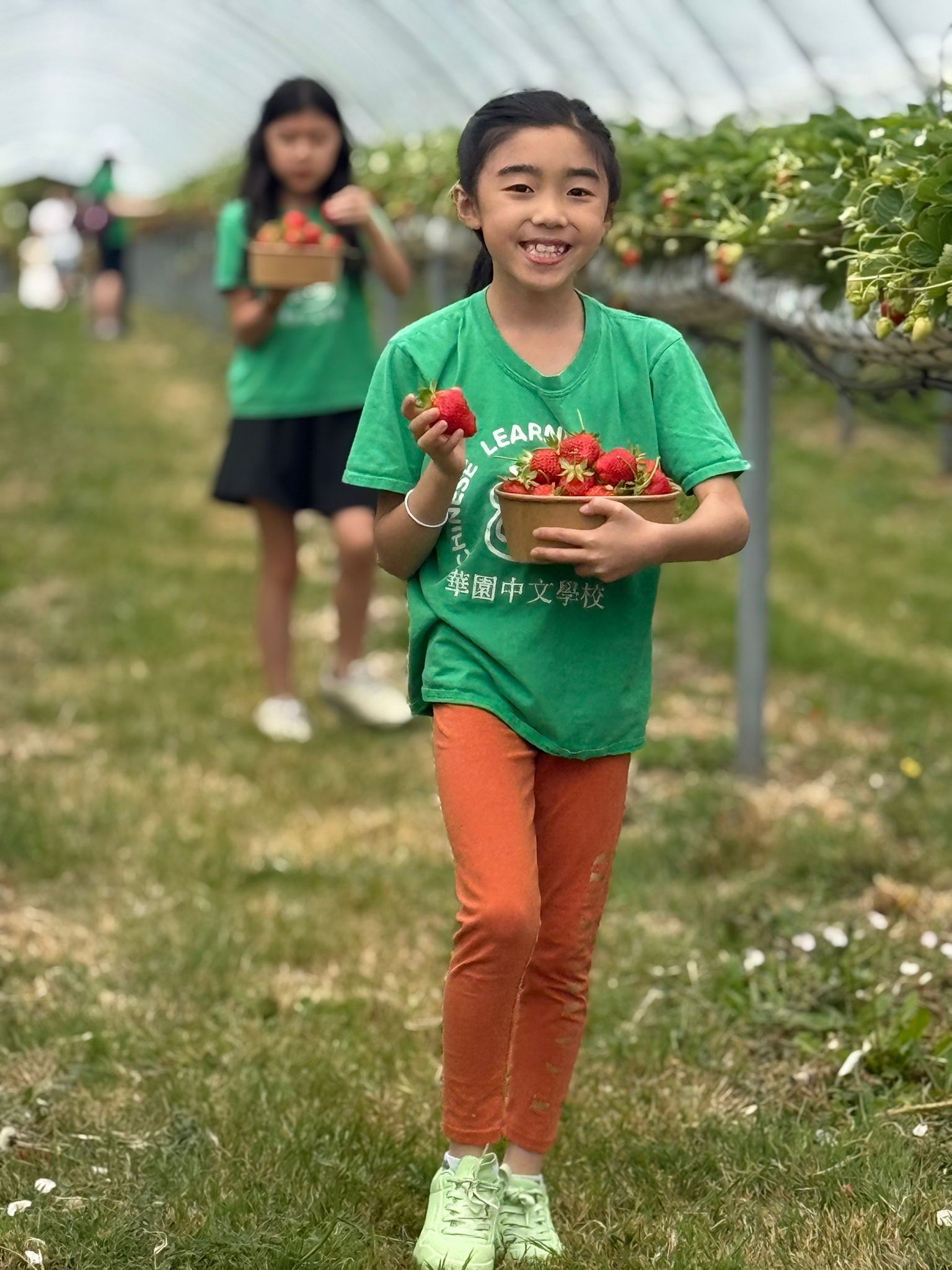 華園 2025 華園中文學校暨TCML期末全校果園戶外教學1