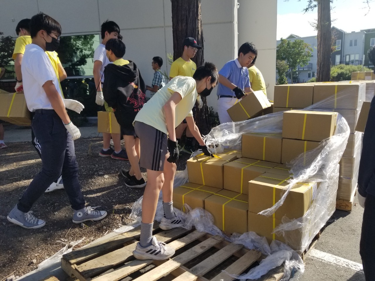 現場 由停車場 搬運書本  