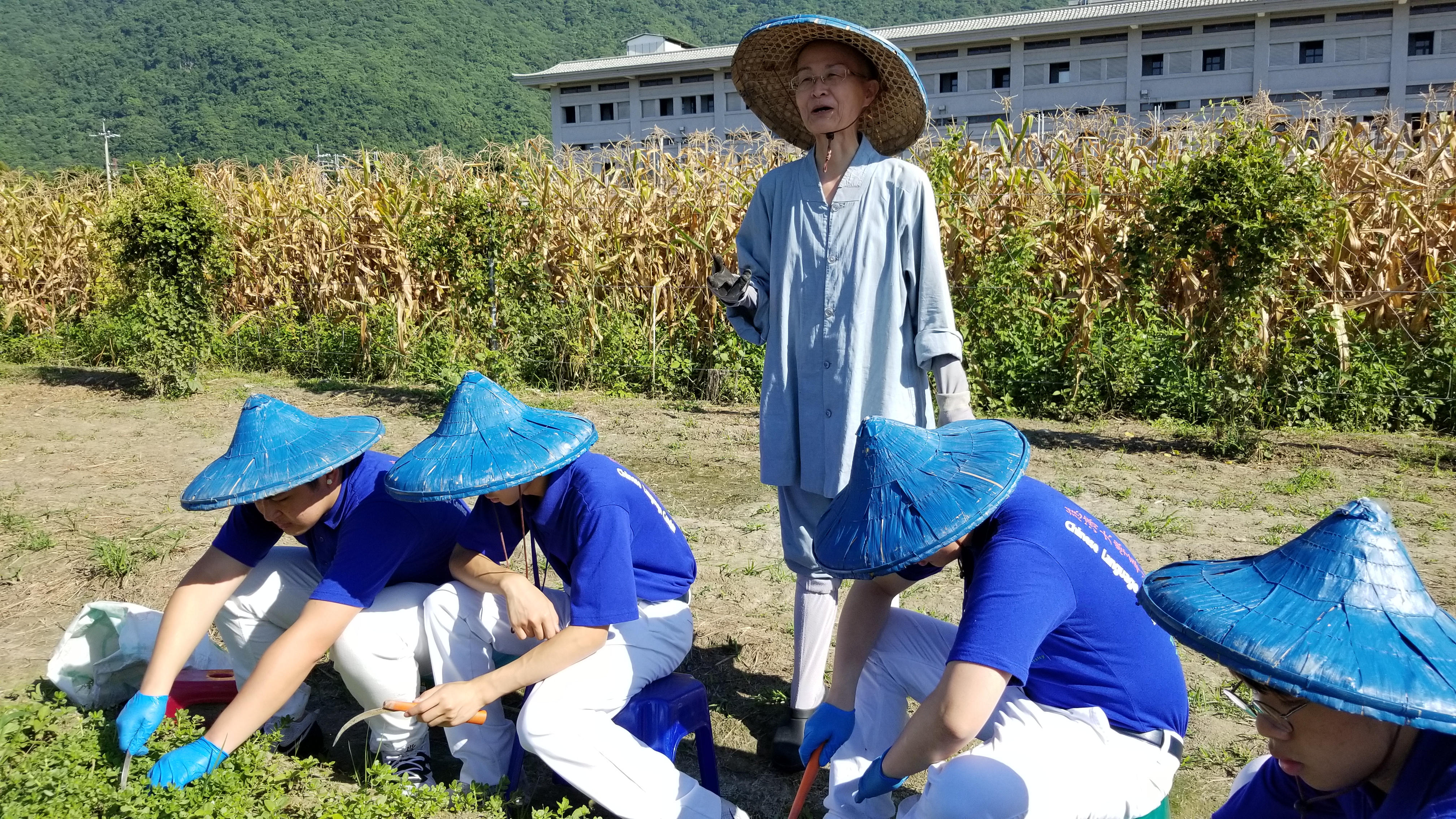 學員體驗農地耕作，了解粒米杯湯盤中蔬，得來不易歷艱辛