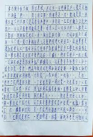 新興教會附屬中文學校   2020 全校作文比賽4