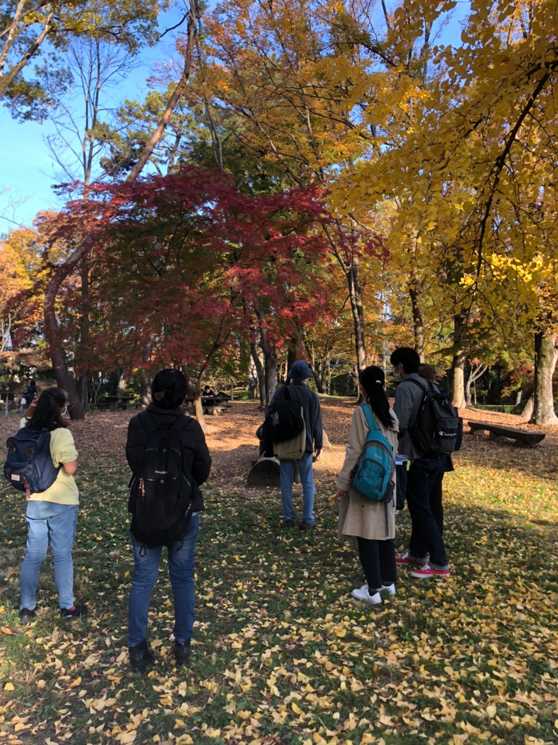 母子森林的探索