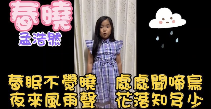 最佳臺風獎得主