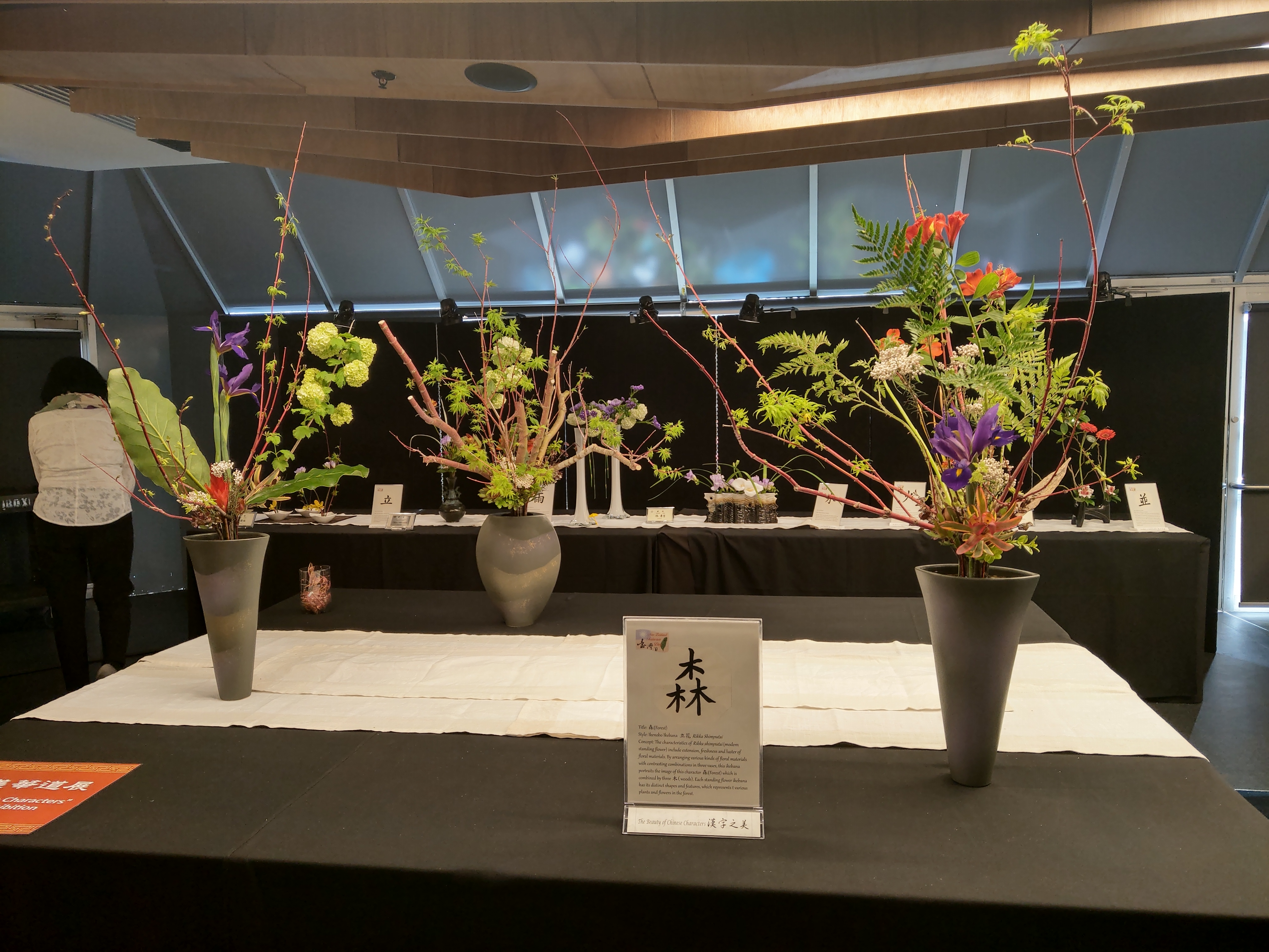 2019紐西蘭奧克蘭正體漢字文化節活動 推廣文字與文化之美3