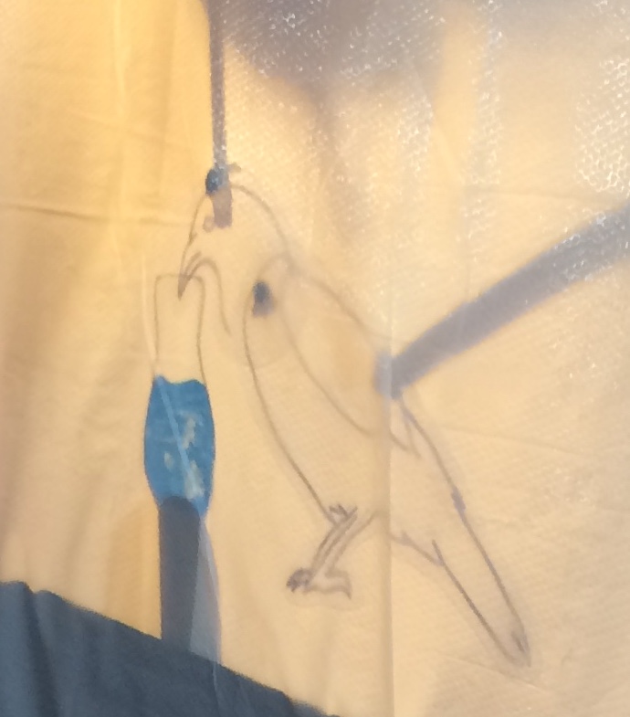 伊索寓言-烏鴉喝水