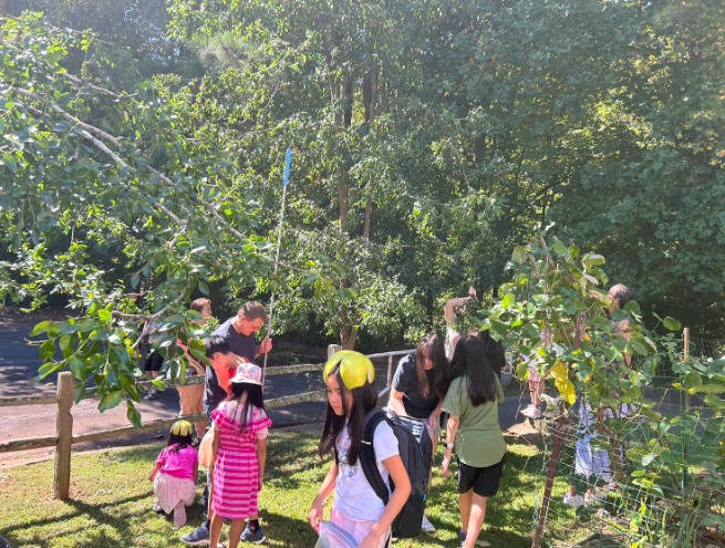 亞特蘭大台美學校歡慶2024中秋 月餅飄香採棗趣5