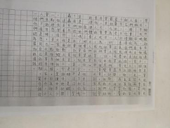 新興教會附屬中文學校   2020 全校作文比賽6