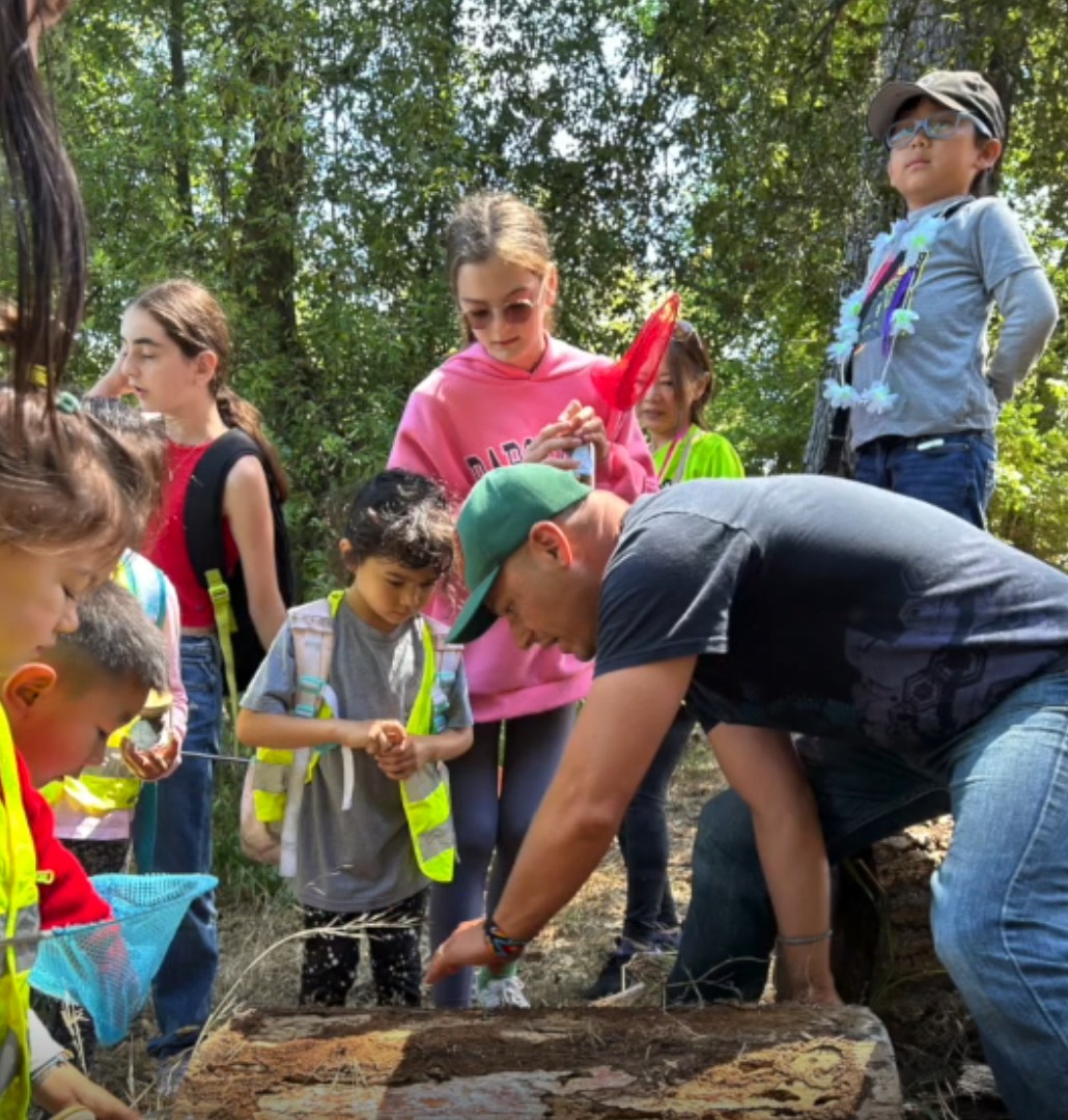 老師翻開一棵倒下的朽木，向學生介紹那些負責分解動植物殘骸的小生物，帶領大家觀察大自然中的分解者。