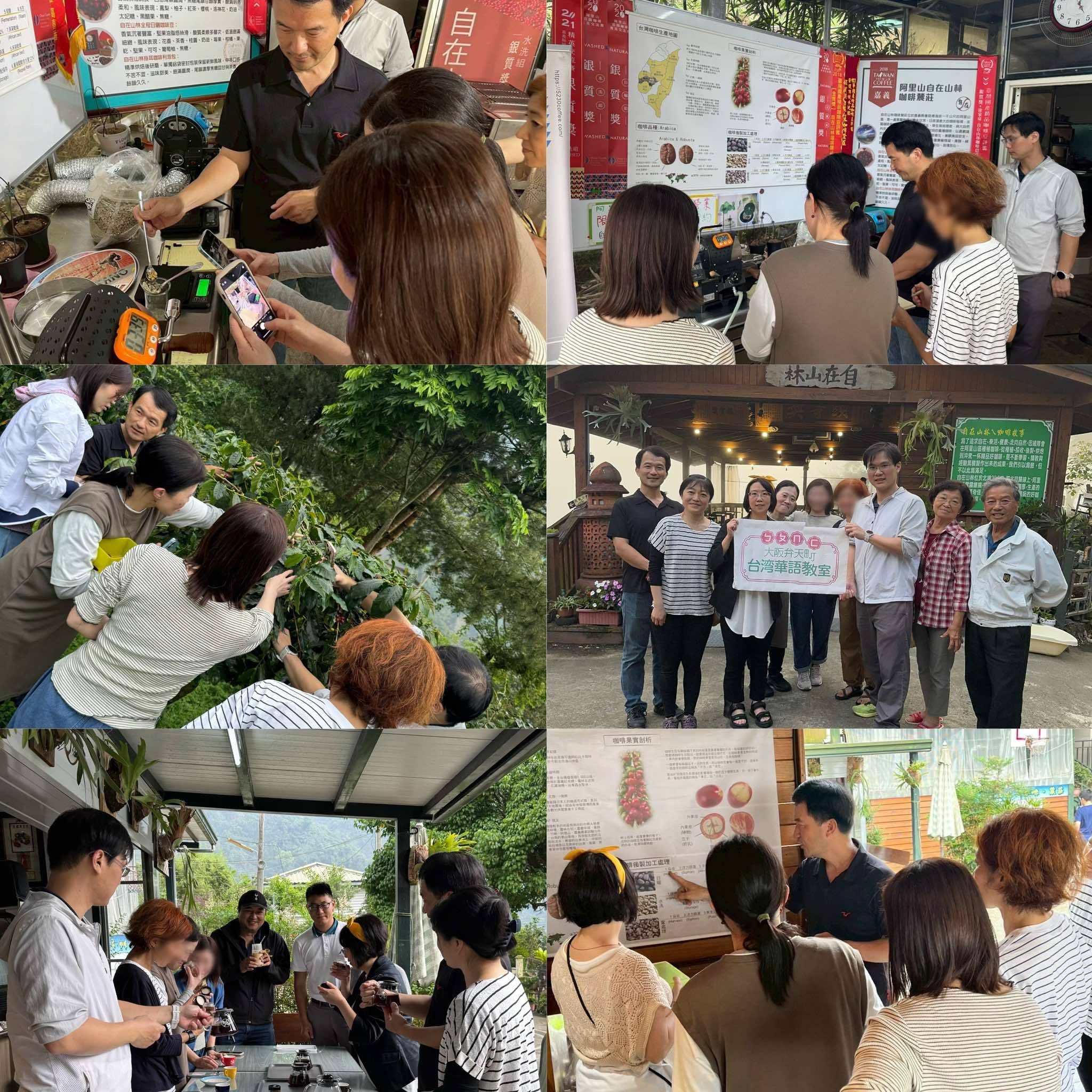 阿里山咖啡農園的體驗