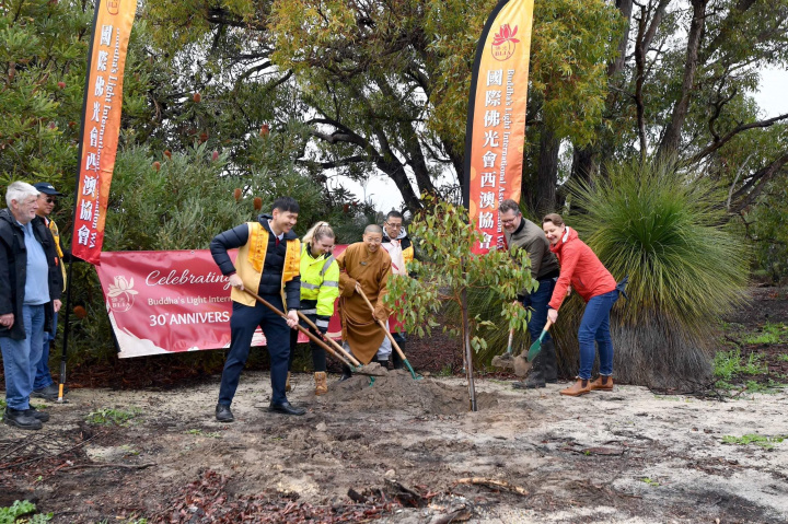 （右起）西澳衛生部長Amber-Jade Sanderson、Bayswater市政府代表 Dan Bull、監寺妙博法師、市府森林管理員、國際佛光會西澳協會會長曾錦源一同種下建寺三十週年紀念樹