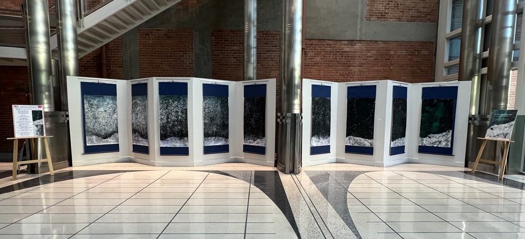 鳳凰城正體漢字文化在鳳凰城市政府大廳展出臺灣水墨畫展，蓋雷哥助陣支持。