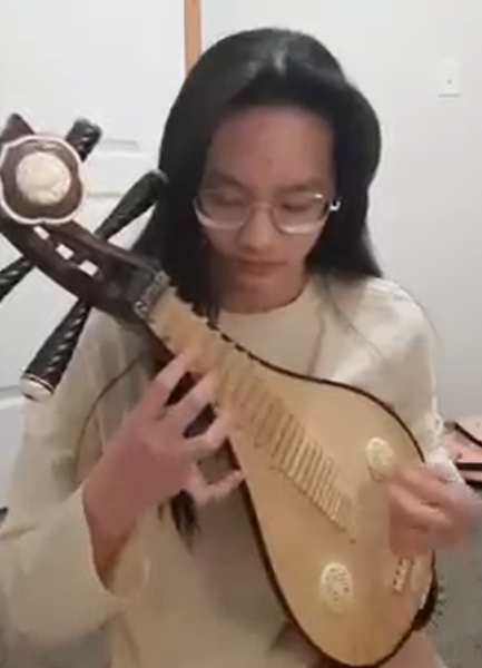 柳琴表演-木棉花開